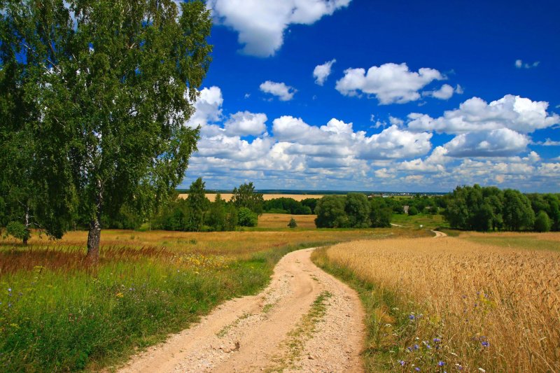 Пейзаж лес поле речка деревня