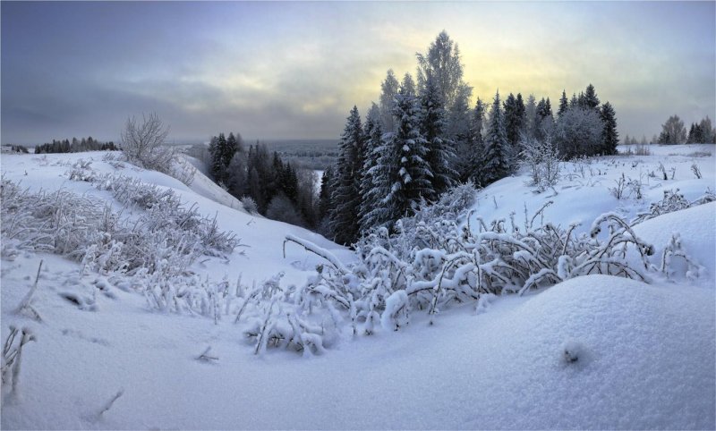 Кировские леса зимой