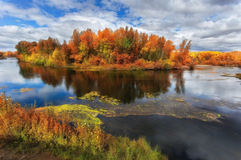 Золотая осень лес река