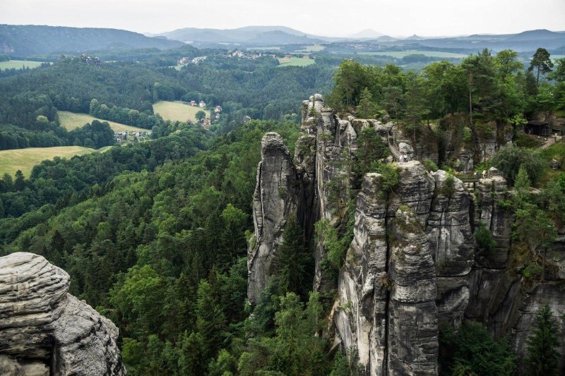 Саксонская швейцария лес