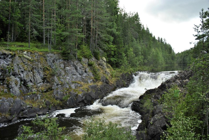 Заповедник кивач лес