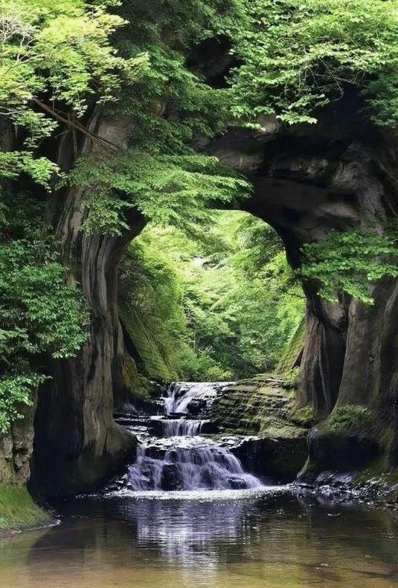 Самурский лес водопад