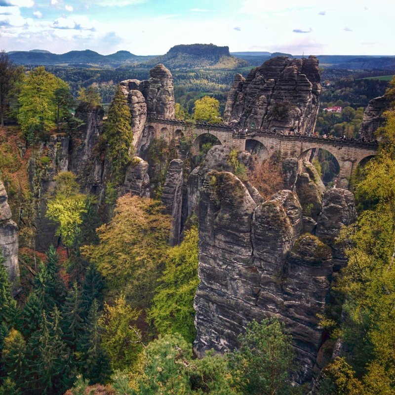 Саксонская швейцария лес