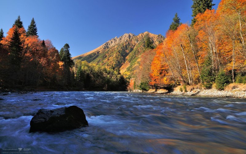 Осень горная река лес