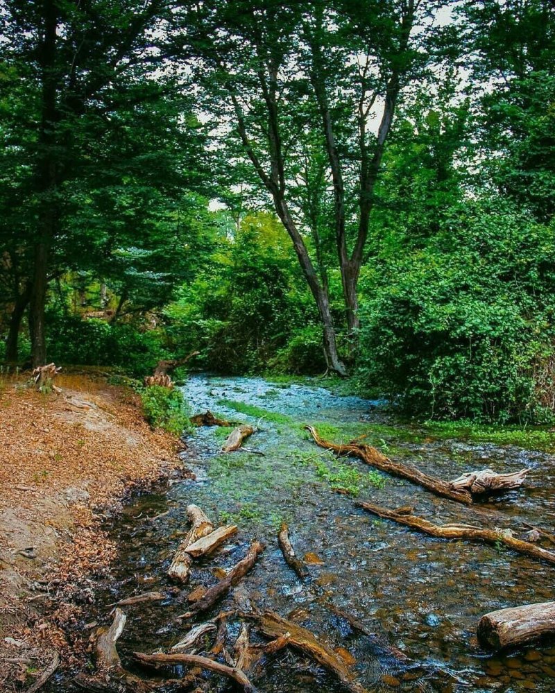 Самурский лес водопад