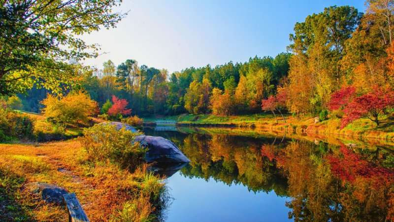 Осень лес река