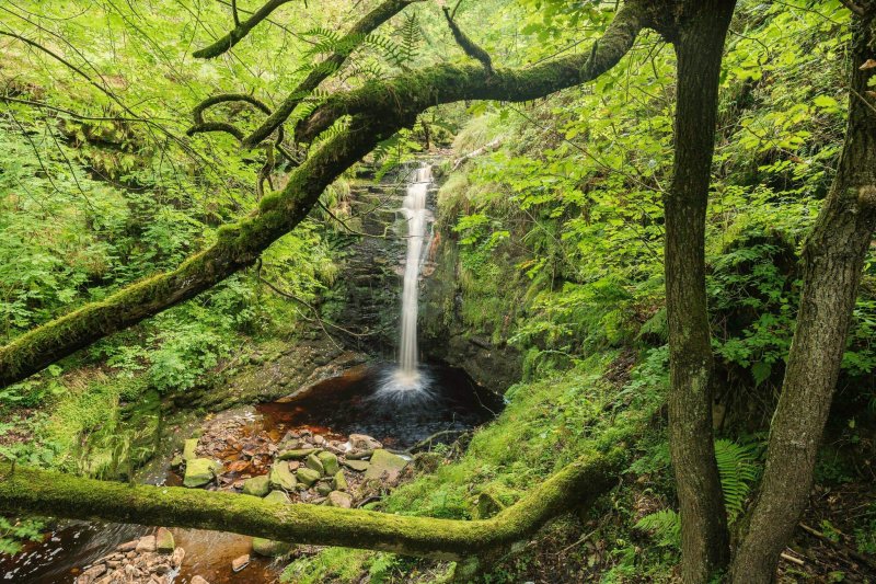 Самурский лес водопад