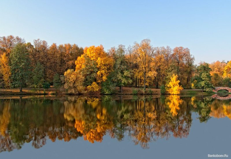 Кузьминский лесопарк осень