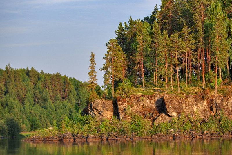 Заповедник кивач лес