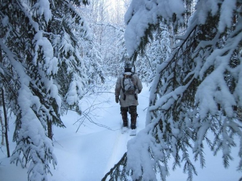 Человек в зимнем лесу