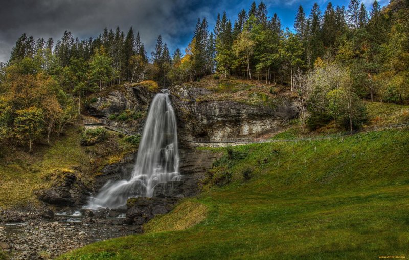 Лес с водопадом норвегия