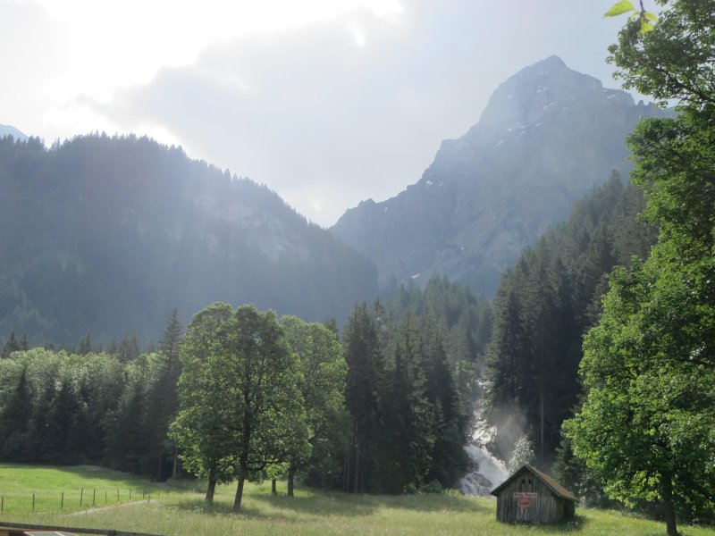 Лес туман горы швейцария