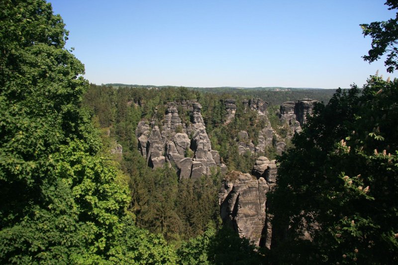 Саксонская швейцария лес