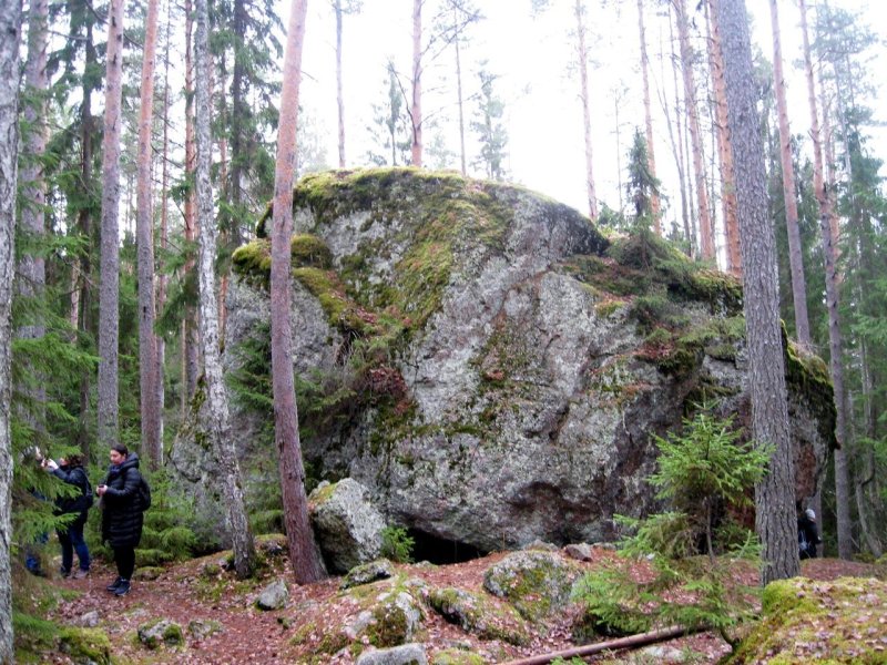 Карельский перешеек лес валунов