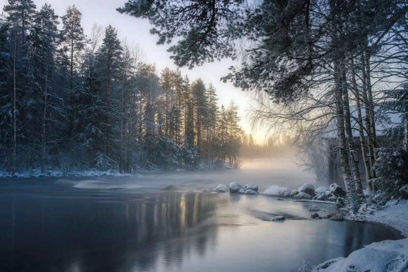 Зимний лес с речкой