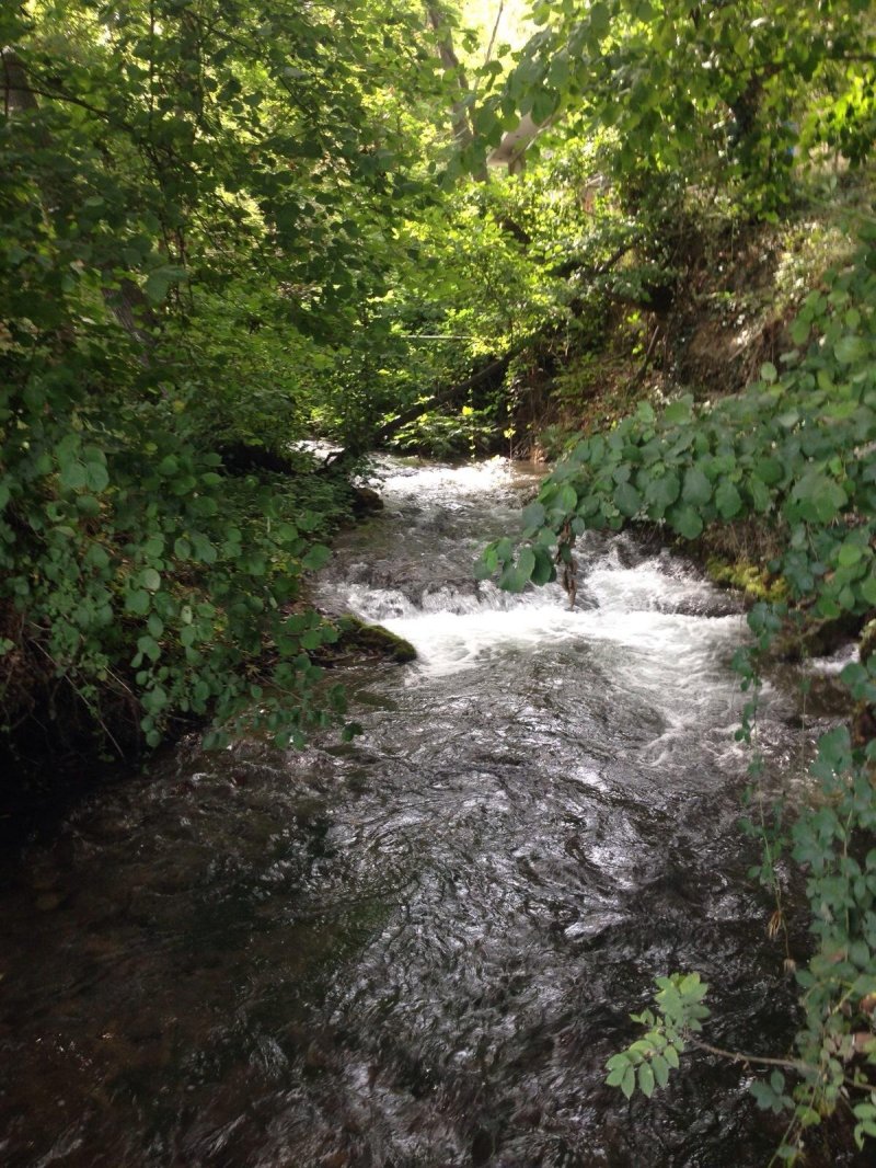 Самурский лес водопад