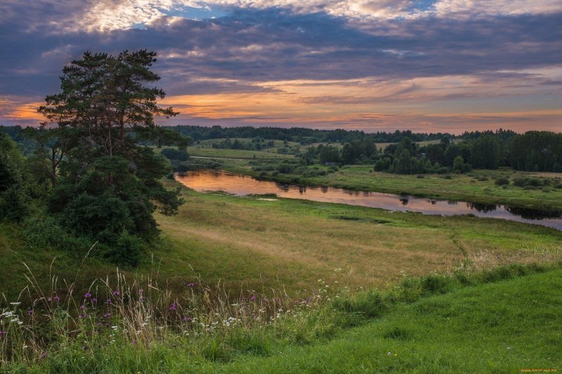 Пейзаж лес поле речка деревня