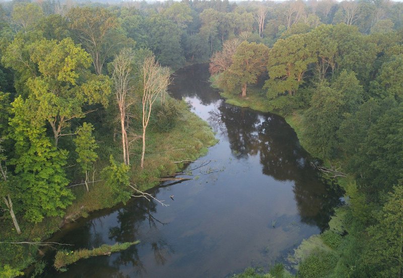 Река нерусса брянский лес