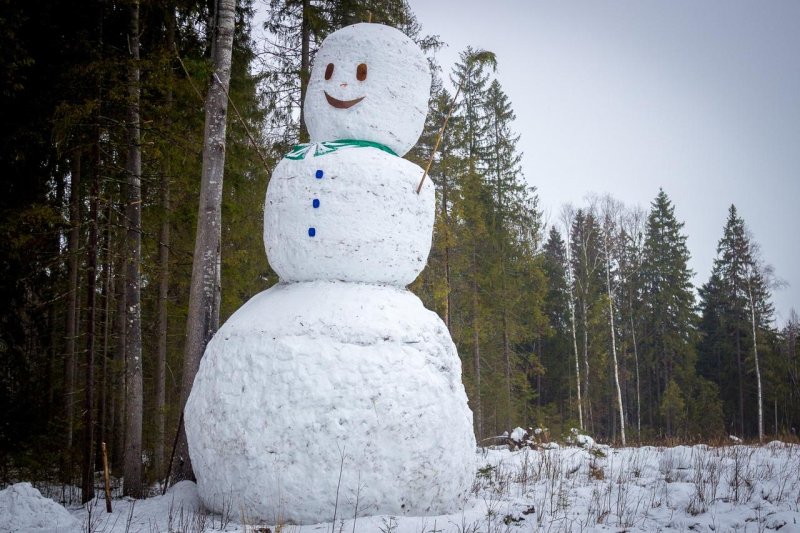 Снеговик в лесу