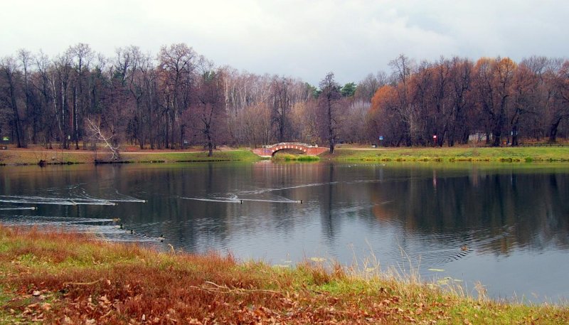 Кузьминский лесопарк осень