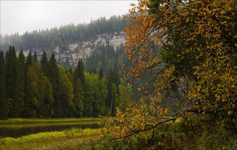 Лес пермского края