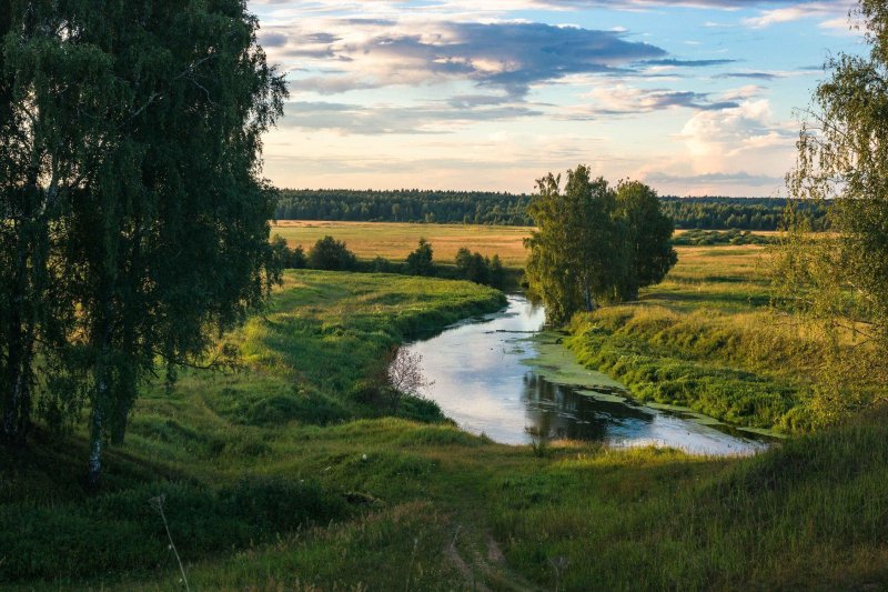 Пейзаж лес поле речка деревня