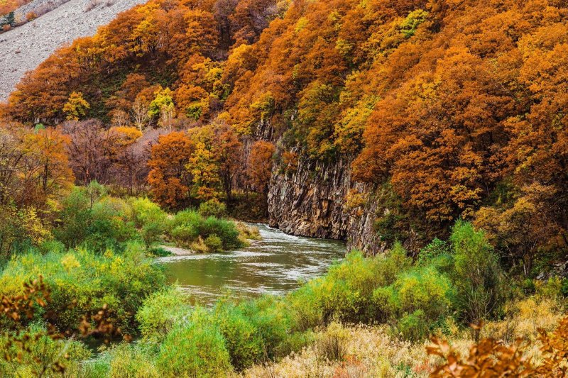 Осенний лес краснодарский край