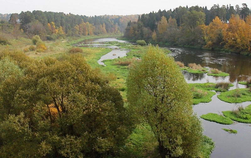 Руза река лес