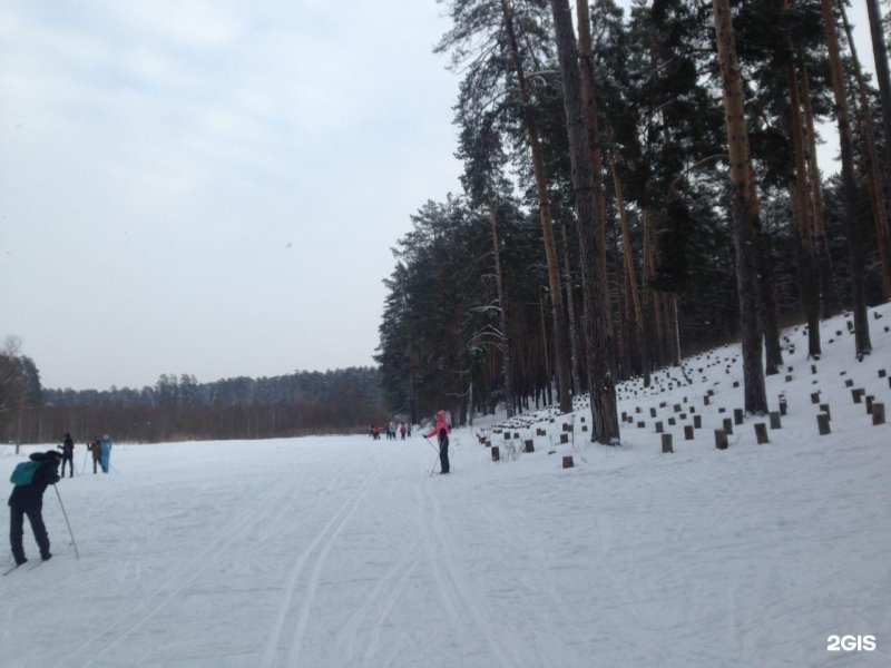 Лесопарк лебяжье казань зимой