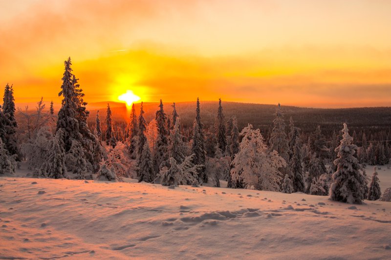 Закат в зимнем лесу