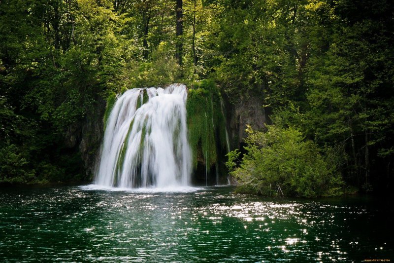 Водопад в лесу