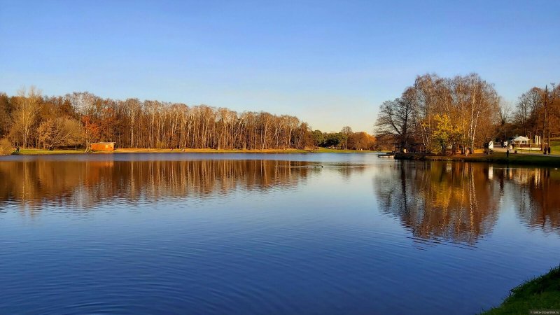 Кузьминский лесопарк осень