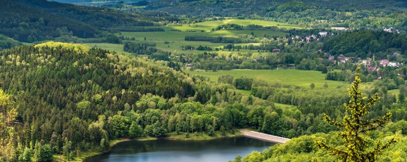 Сарматский смешанный лес пермь