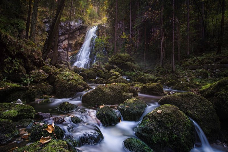 Водопад в лесу