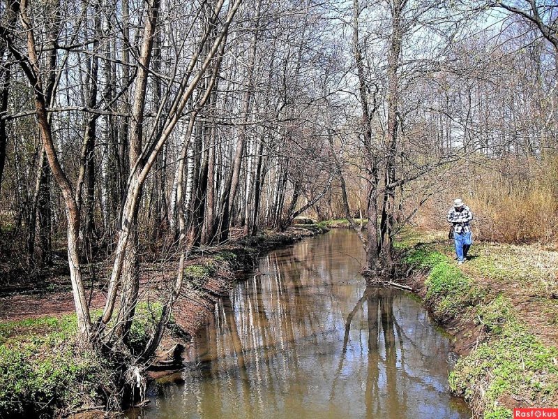 Долина реки серебрянки в измайловском лесу