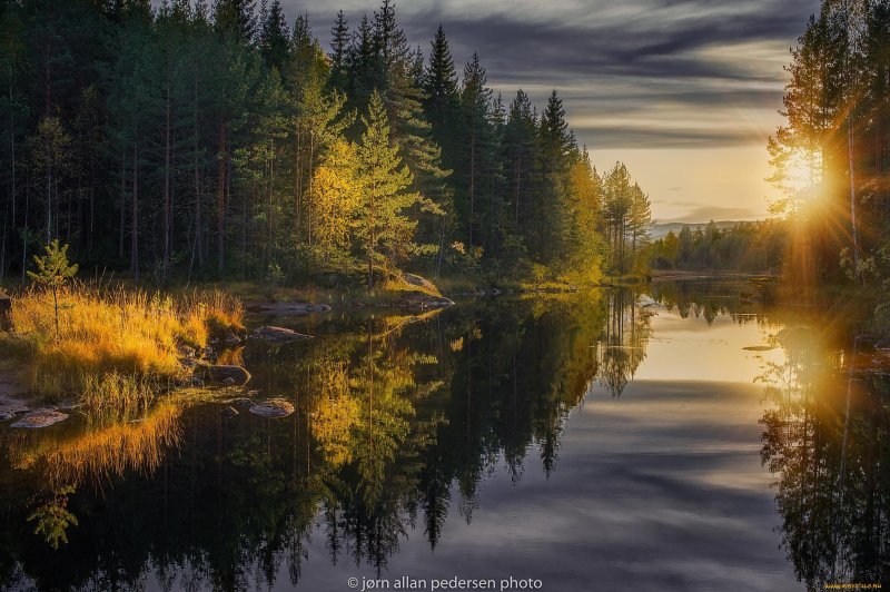 Река солнце лес