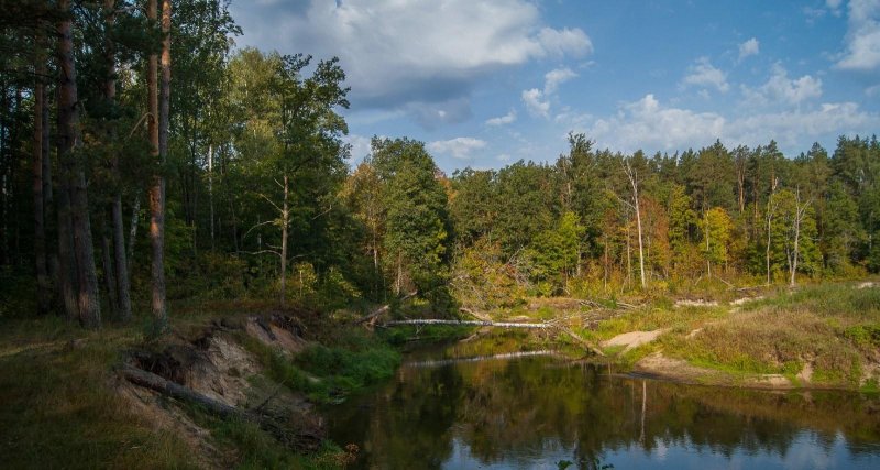 Река нерусса брянский лес