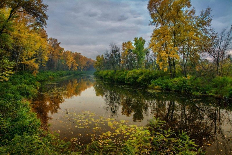 Осень лес река