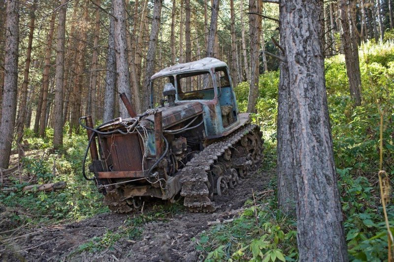 Заброшенные трактора в лесу