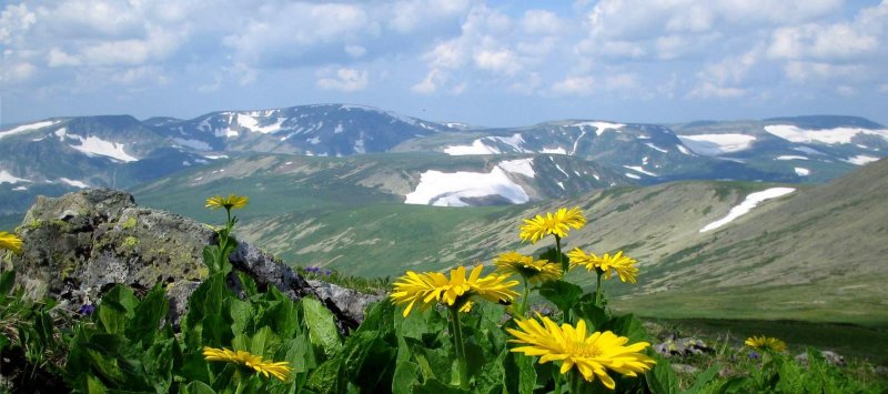 Кузнецкий алатау заповедник лес