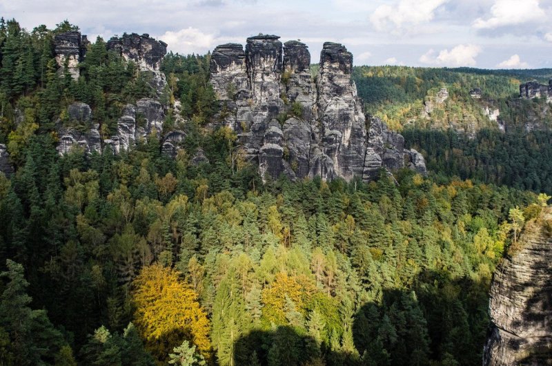 Саксонская швейцария лес