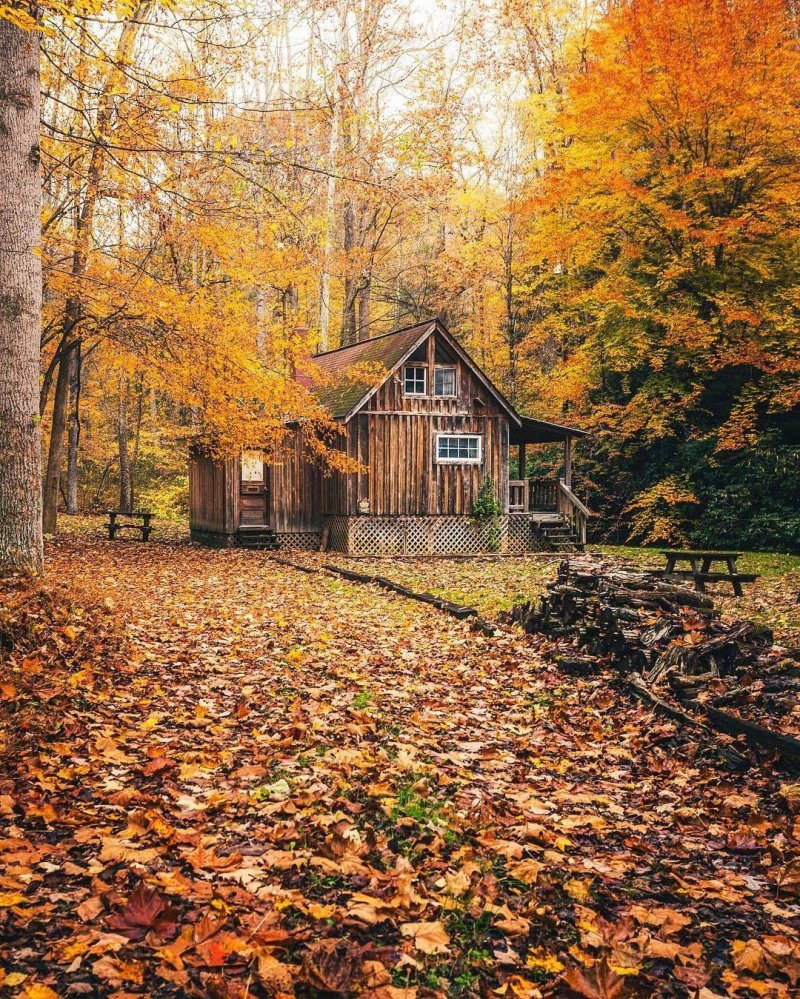 Домик в осеннем лесу