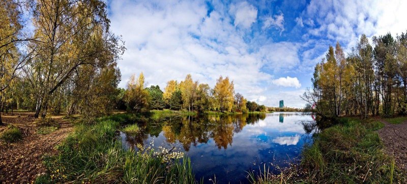 Черустинский лес