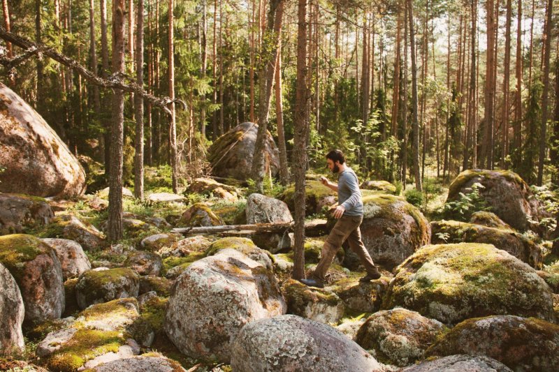 Карельский перешеек лес валунов