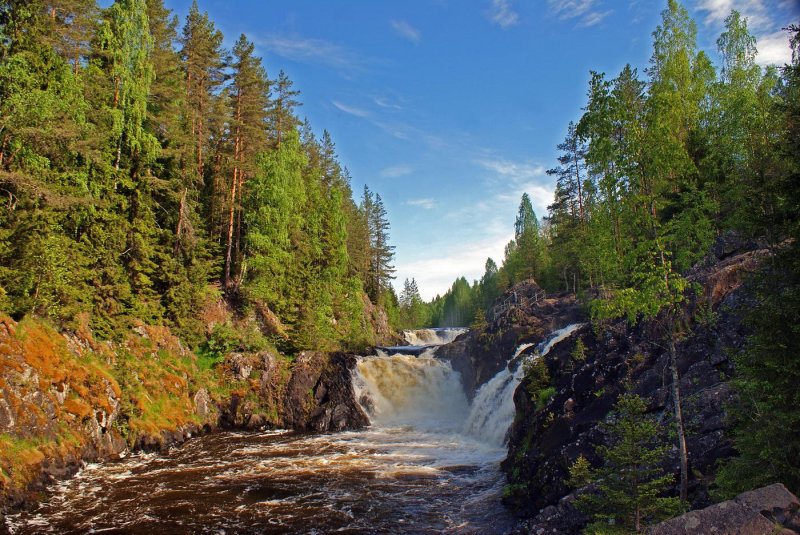 Заповедник кивач лес