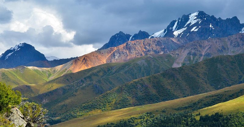 Лесистые горы казахстана