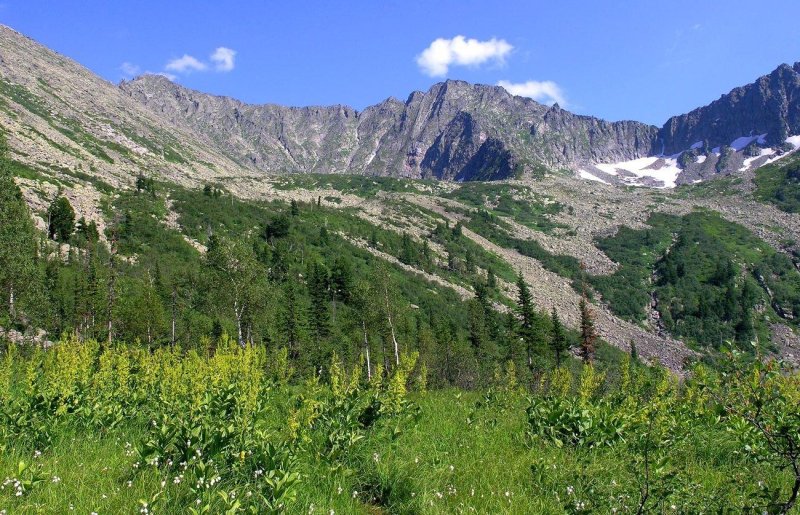 Кузнецкий алатау заповедник лес