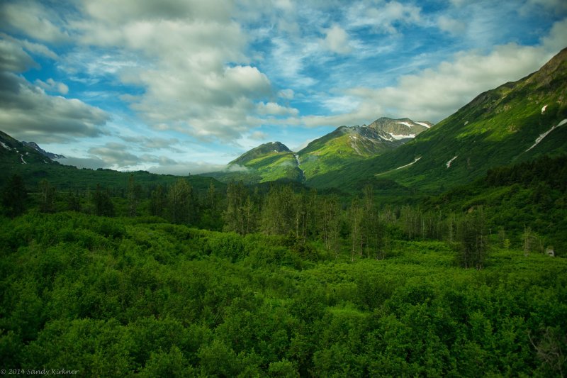 Аляска горы лес