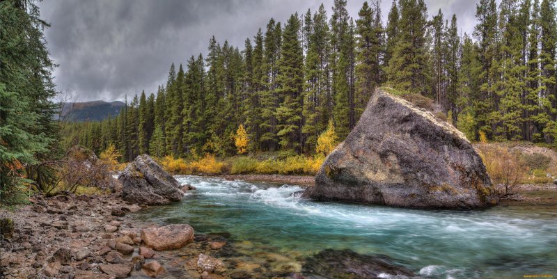 Горная река камни лес