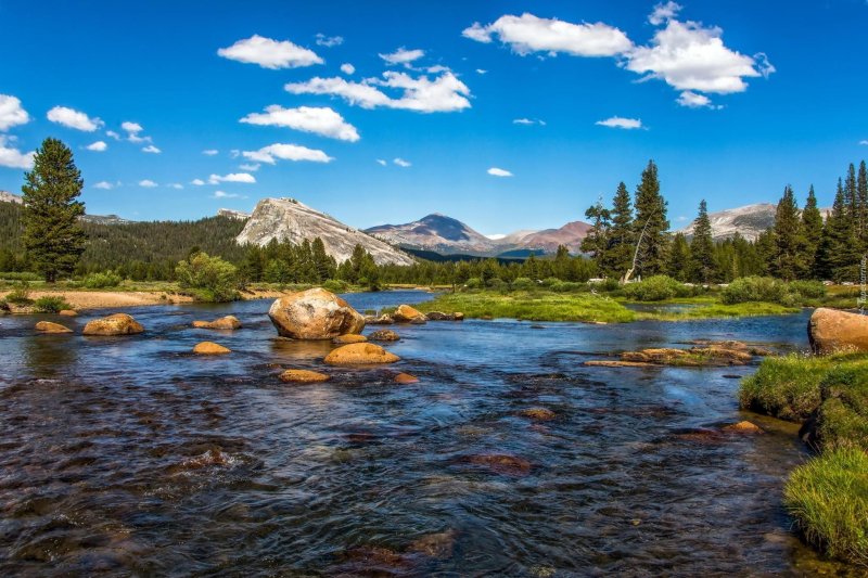 Горная река камни лес